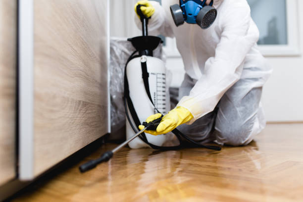 Best Wildlife Control Services  in Palm Shores, FL