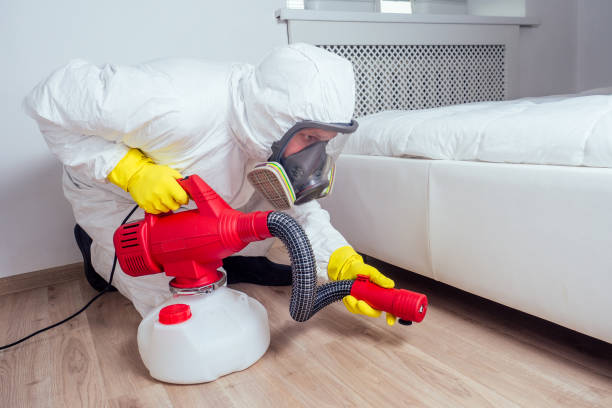 Best Pest Inspection Near Me  in Palm Shores, FL