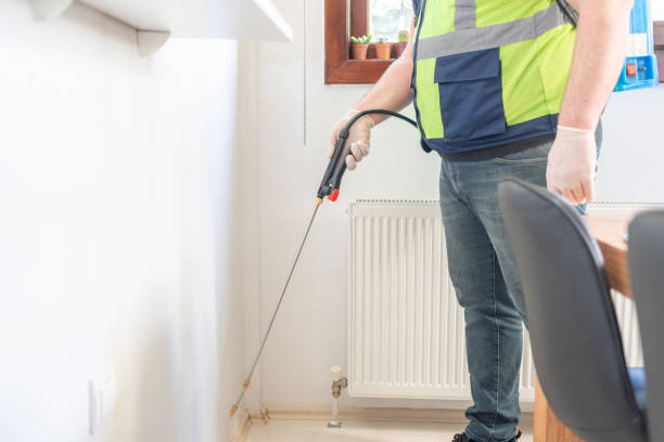 Best Rat Extermination Near Me  in Palm Shores, FL