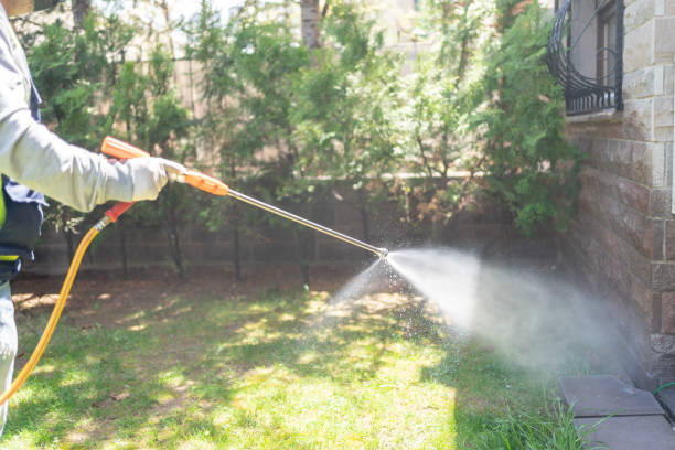 Best Termite Control Services  in Palm Shores, FL