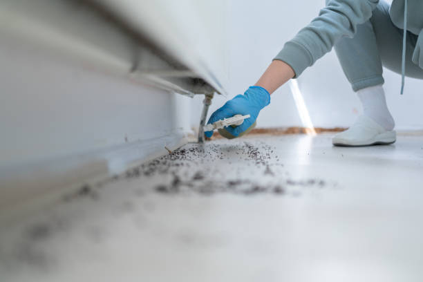 Best Commercial Pest Control Services  in Palm Shores, FL
